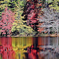 REFLECTIONS ON FAIRFIELD LAKE